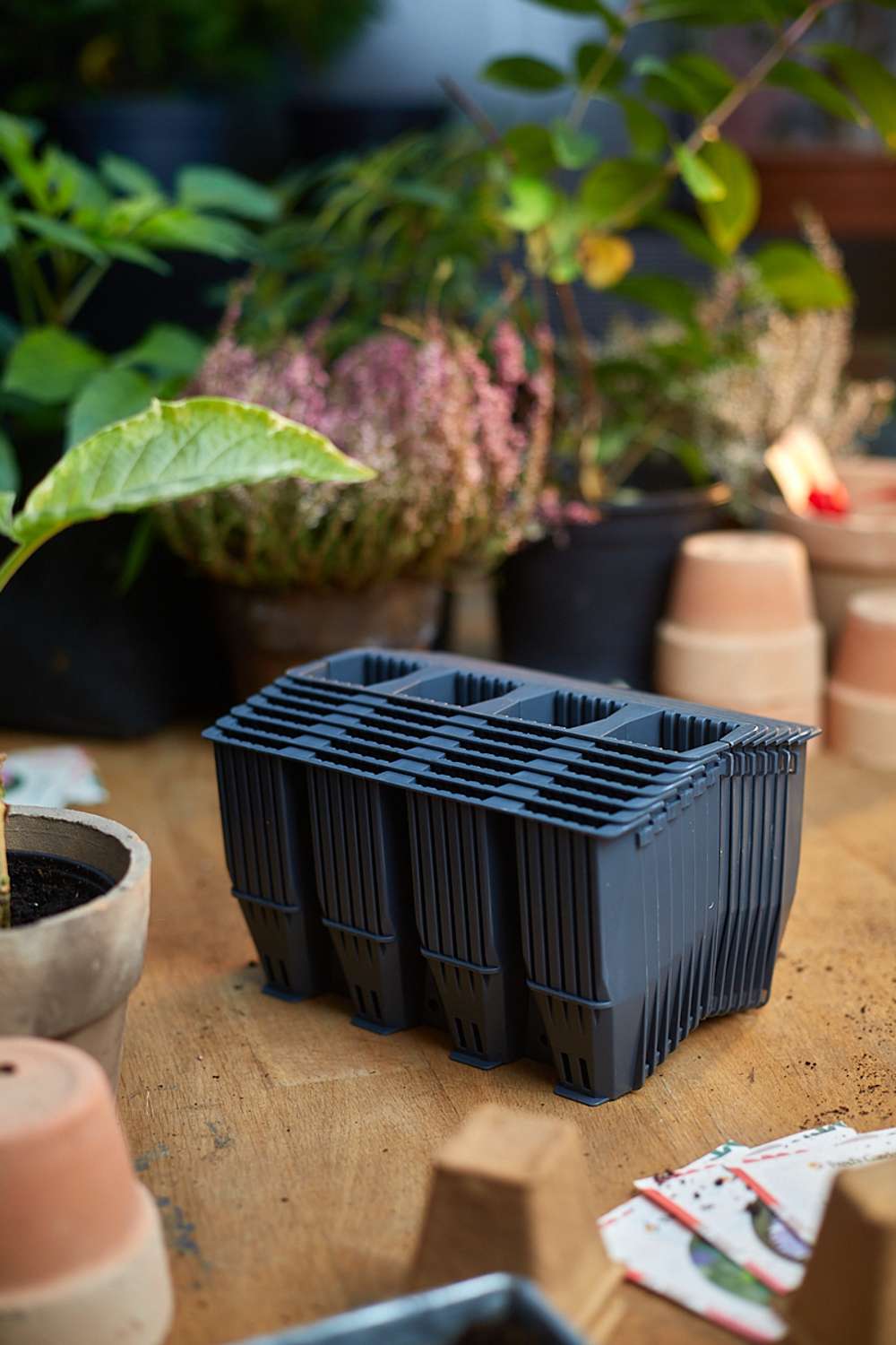 Forspiringsbakke, 28 dybe celler